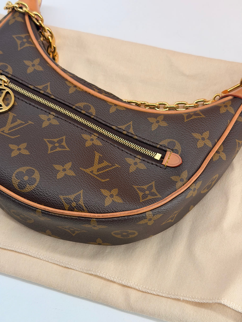 Louis Vuitton Loop Monogram Canvas Shoulder Bag