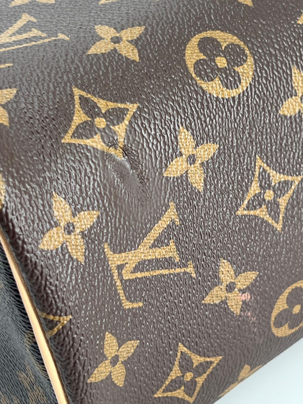 Louis Vuitton Monogram Nice Vanity BB Bag