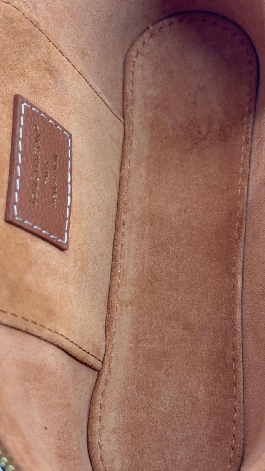 Louis Vuitton Low Key Vanity Pouch Bag