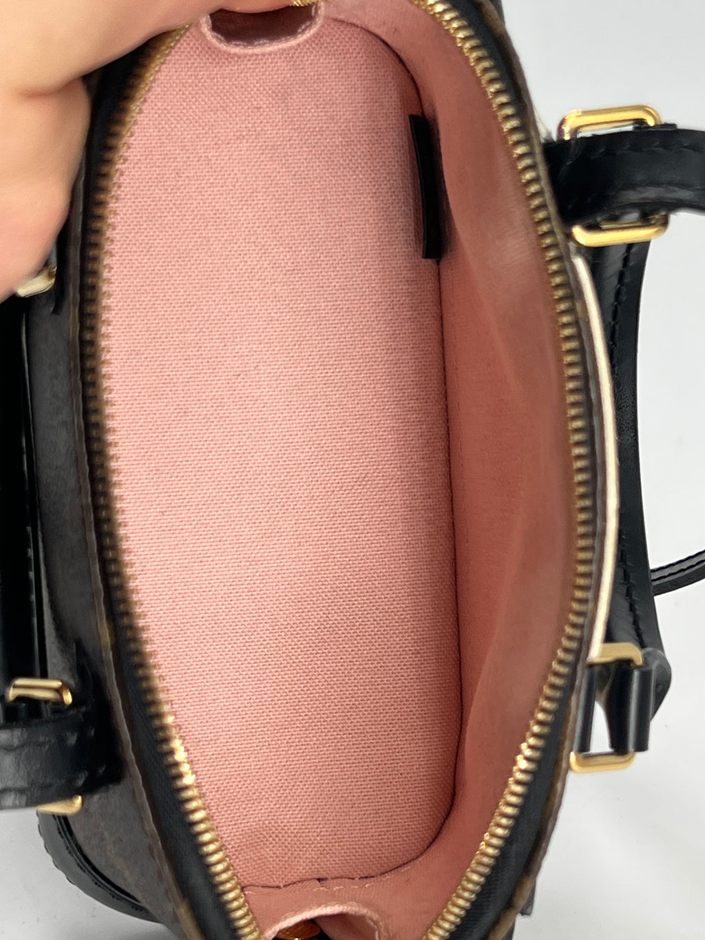 Louis Vuitton Nano Alma Lovely Birds Monogram Canvas Crossbody Bag
