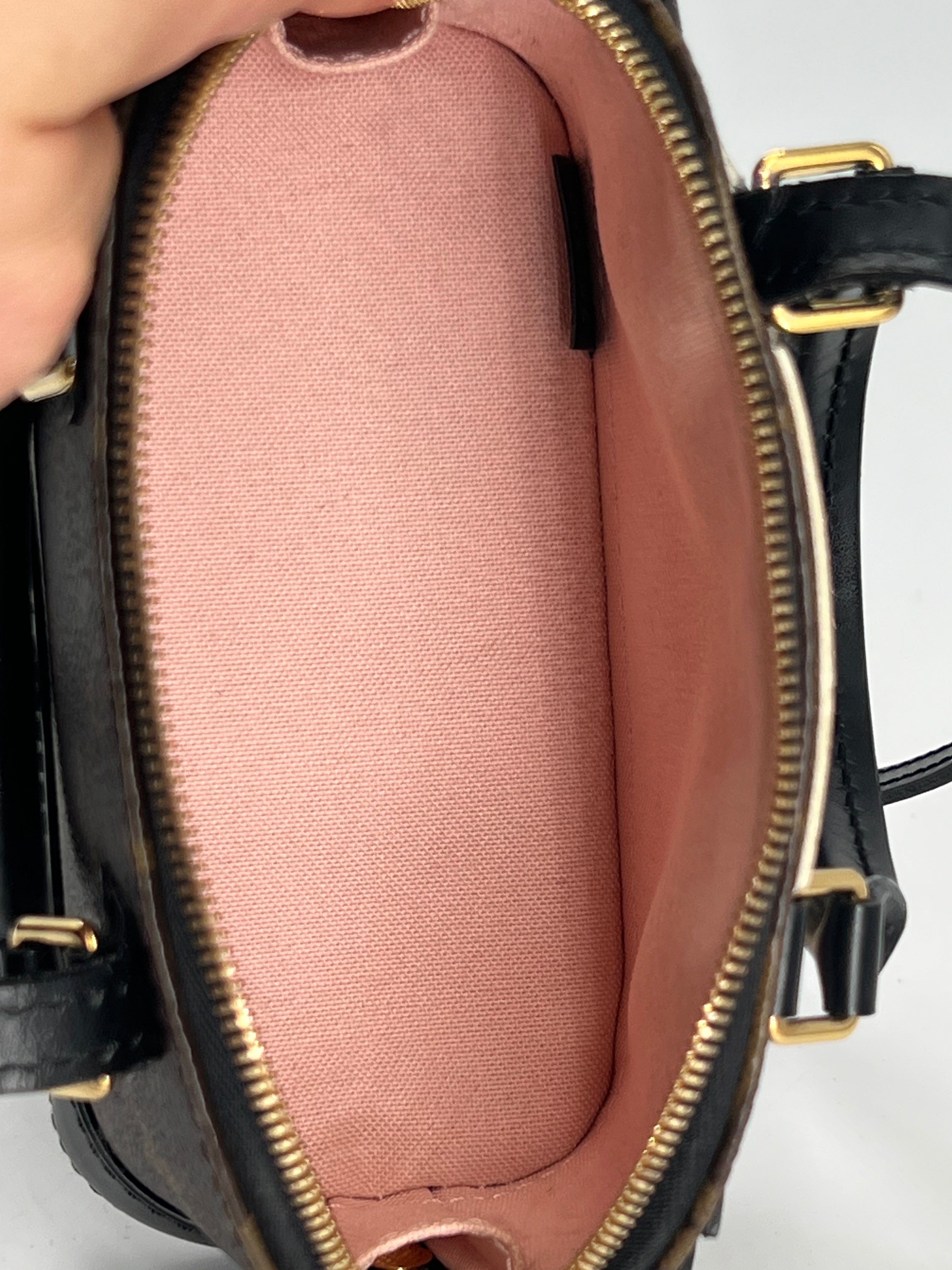 Louis Vuitton Nano Alma Lovely Birds Monogram Canvas Crossbody Bag