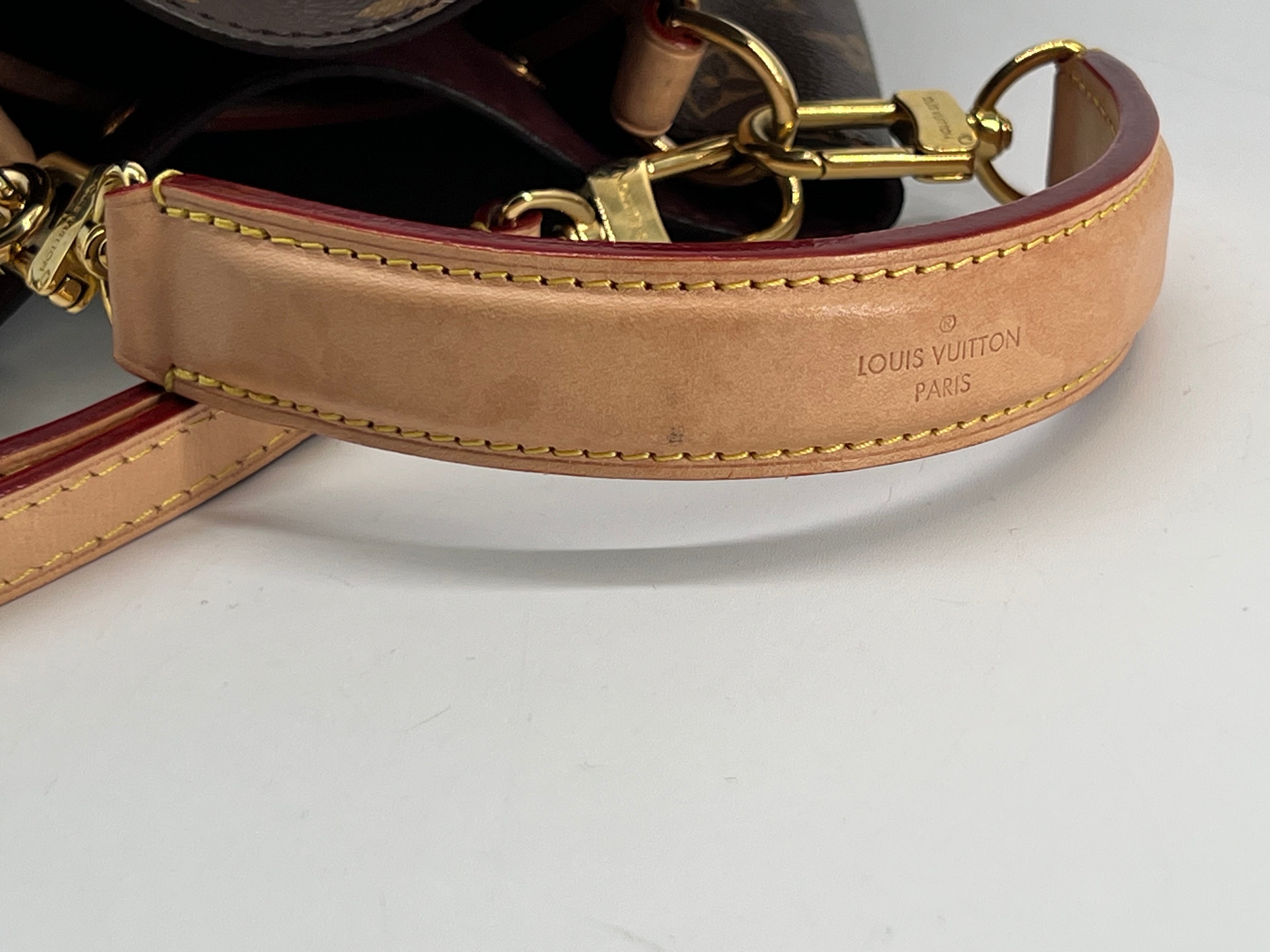 Louis Vuitton NeoNoe BB Brown Monogram Bag