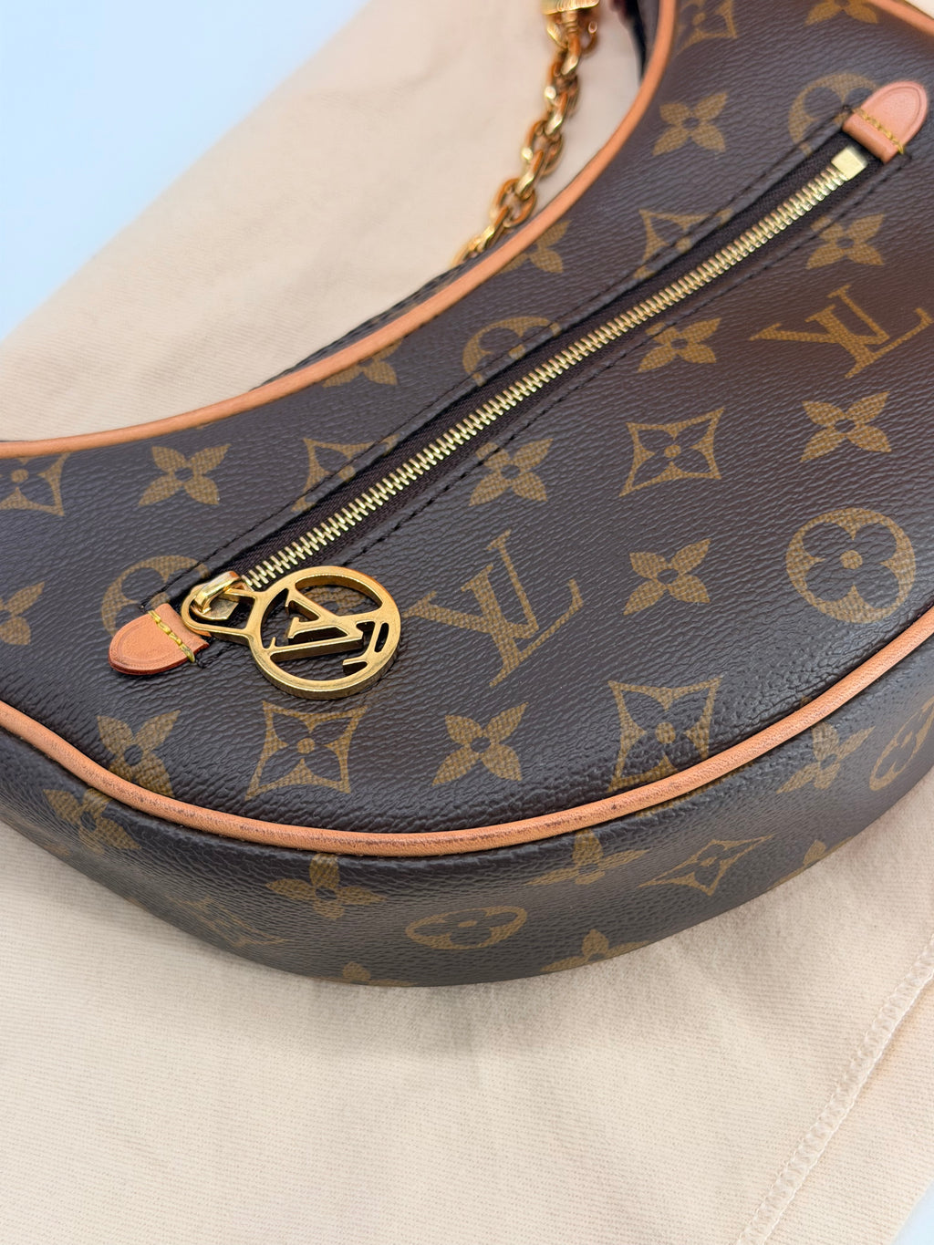 Louis Vuitton Loop Monogram Canvas Shoulder Bag