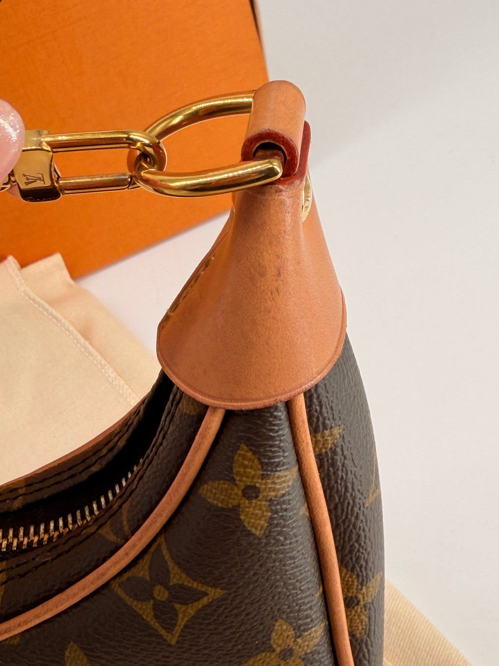 Louis Vuitton Loop Monogram Canvas Shoulder Bag