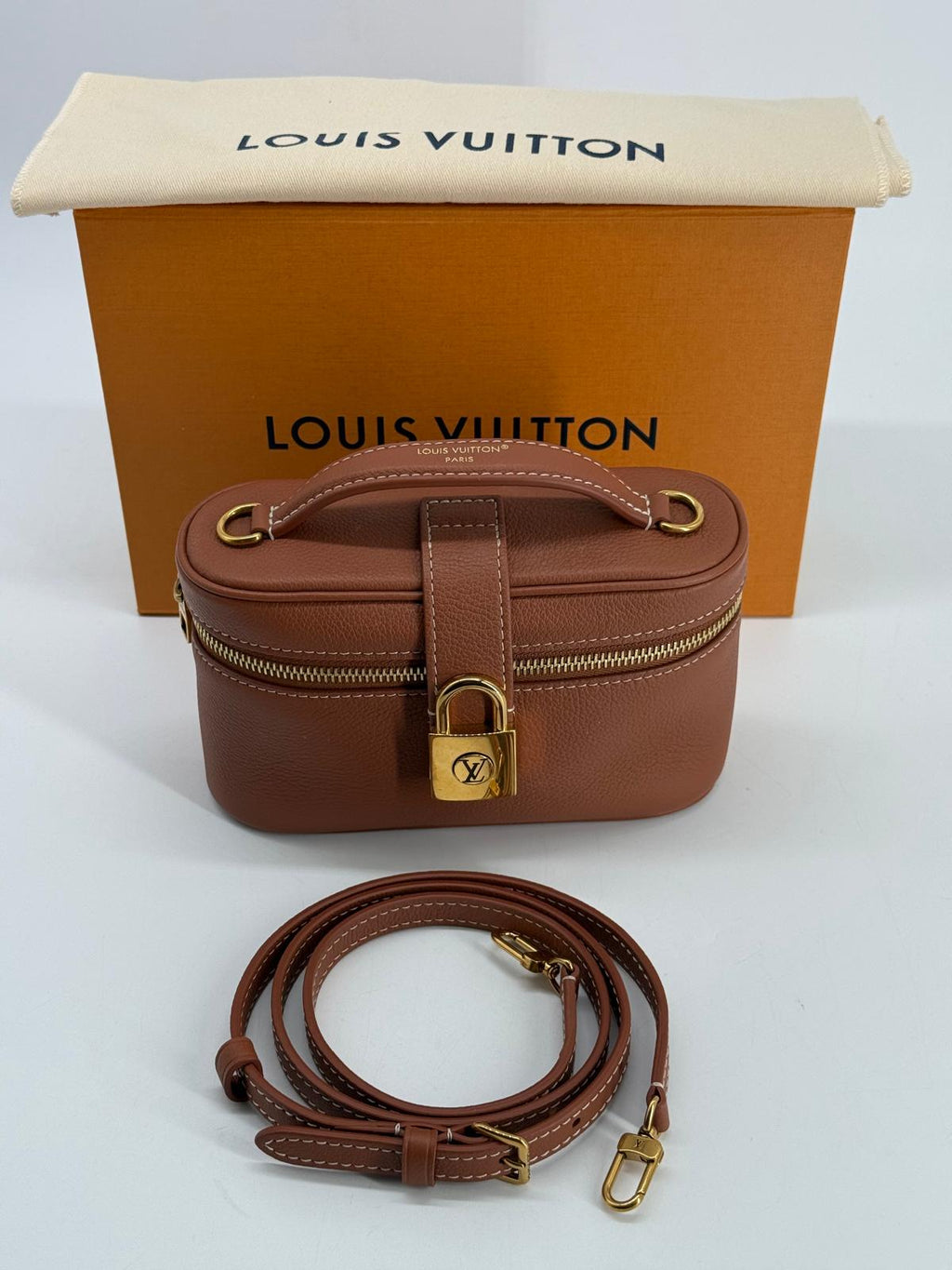 Louis Vuitton Low Key Vanity Pouch Bag