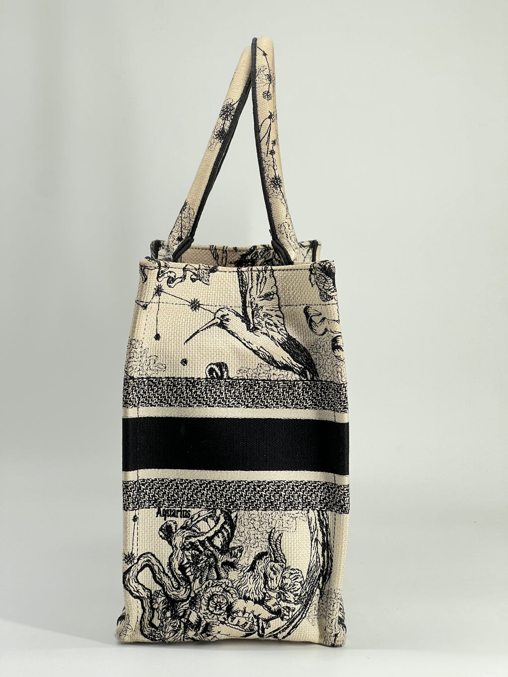 Christian Dior Book Tote Medium Embroidered Canvas Bag