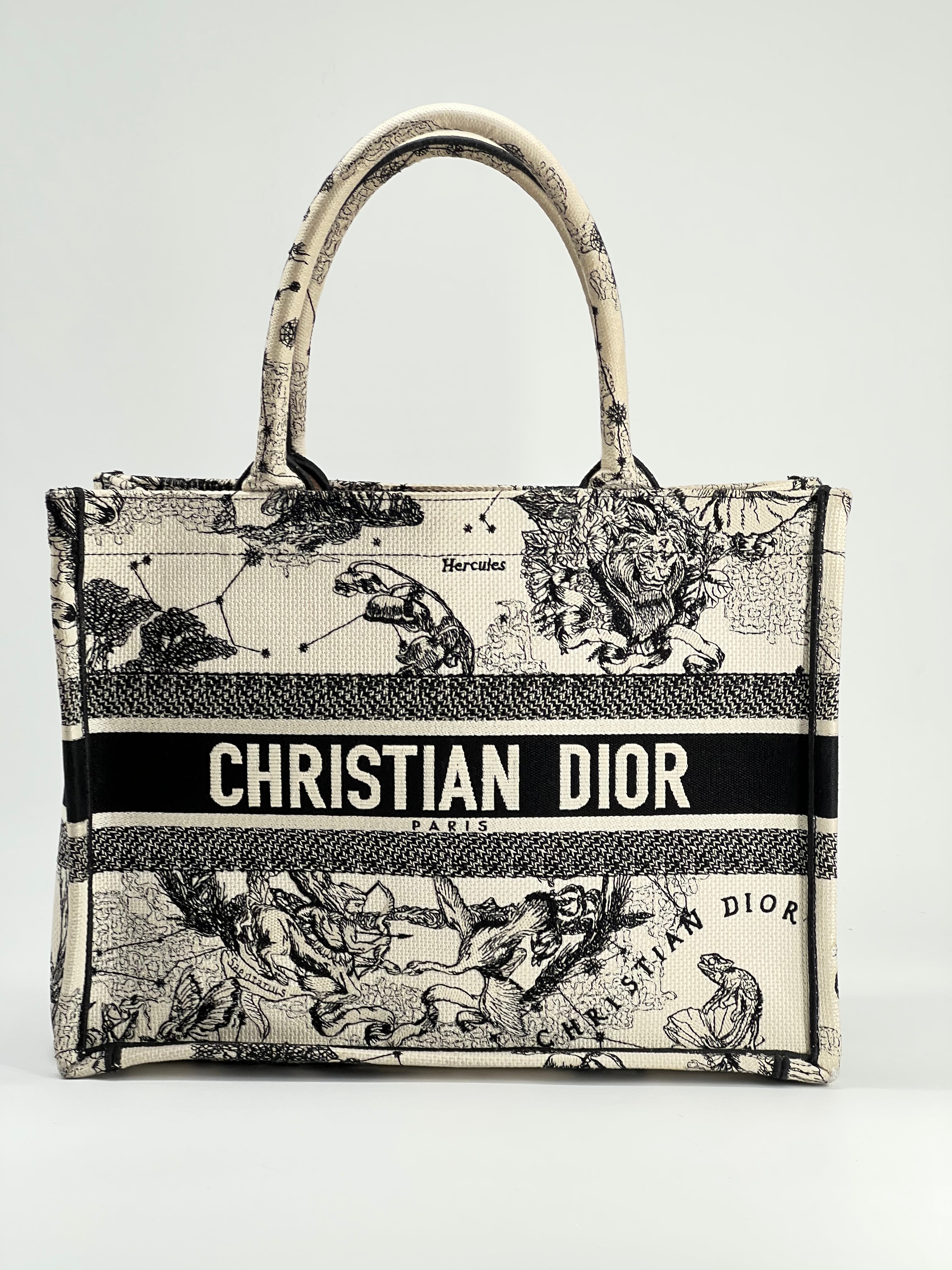 Christian Dior Book Tote Medium Embroidered Canvas Bag