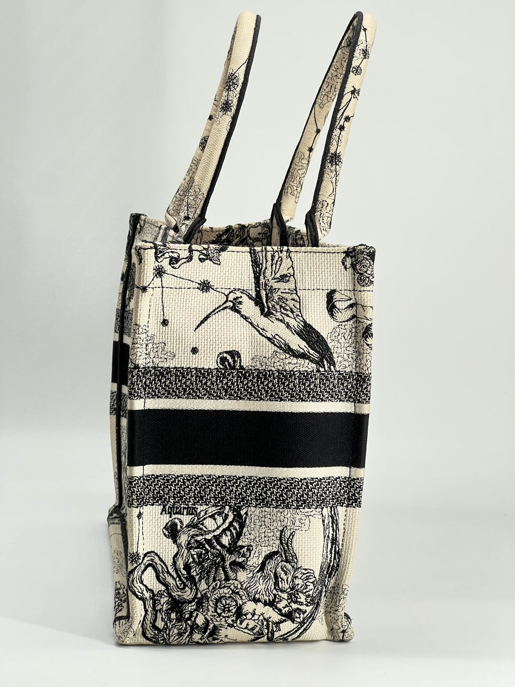 Christian Dior Book Tote Medium Embroidered Canvas Bag