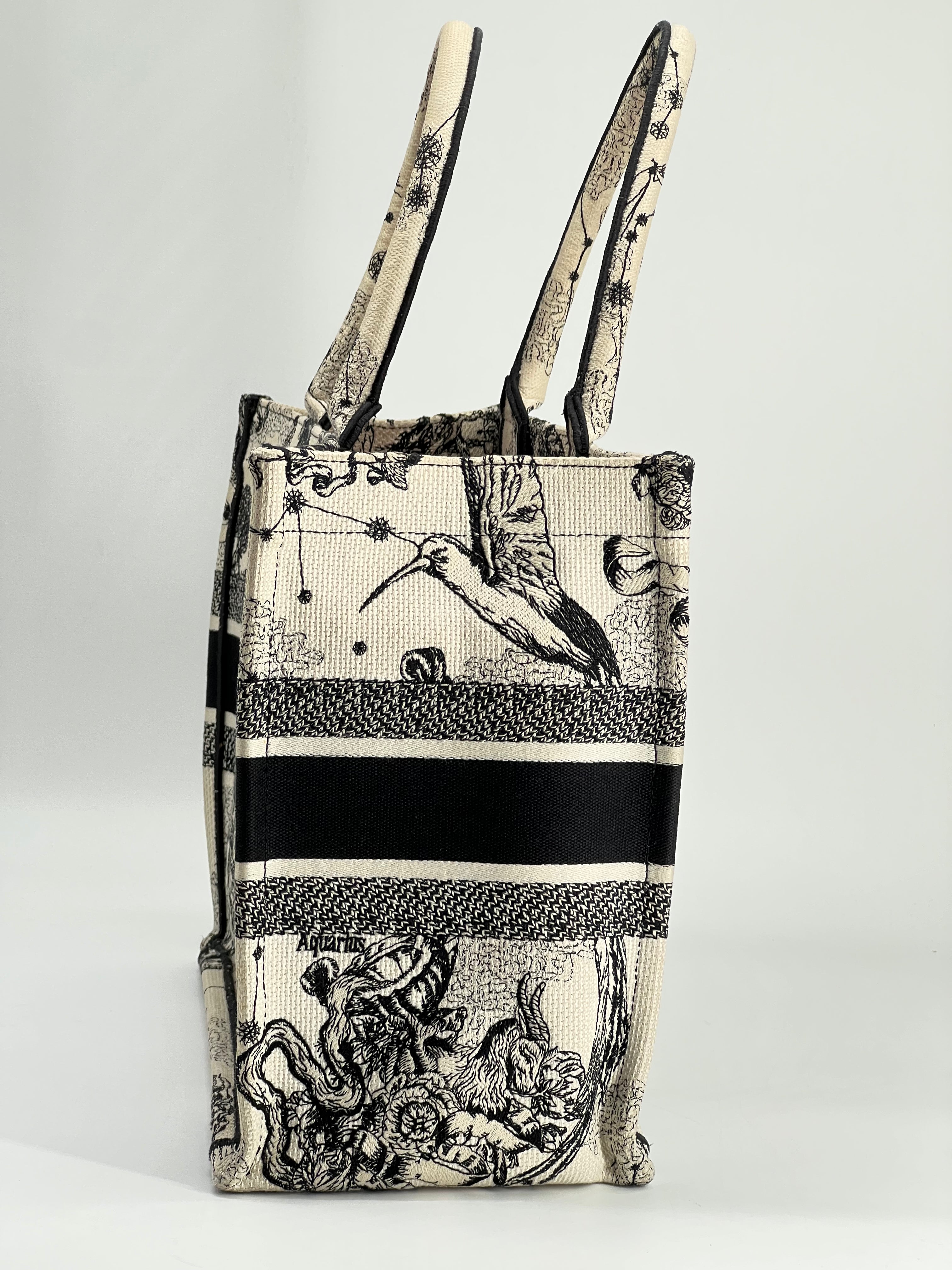 Christian Dior Book Tote Medium Embroidered Canvas Bag