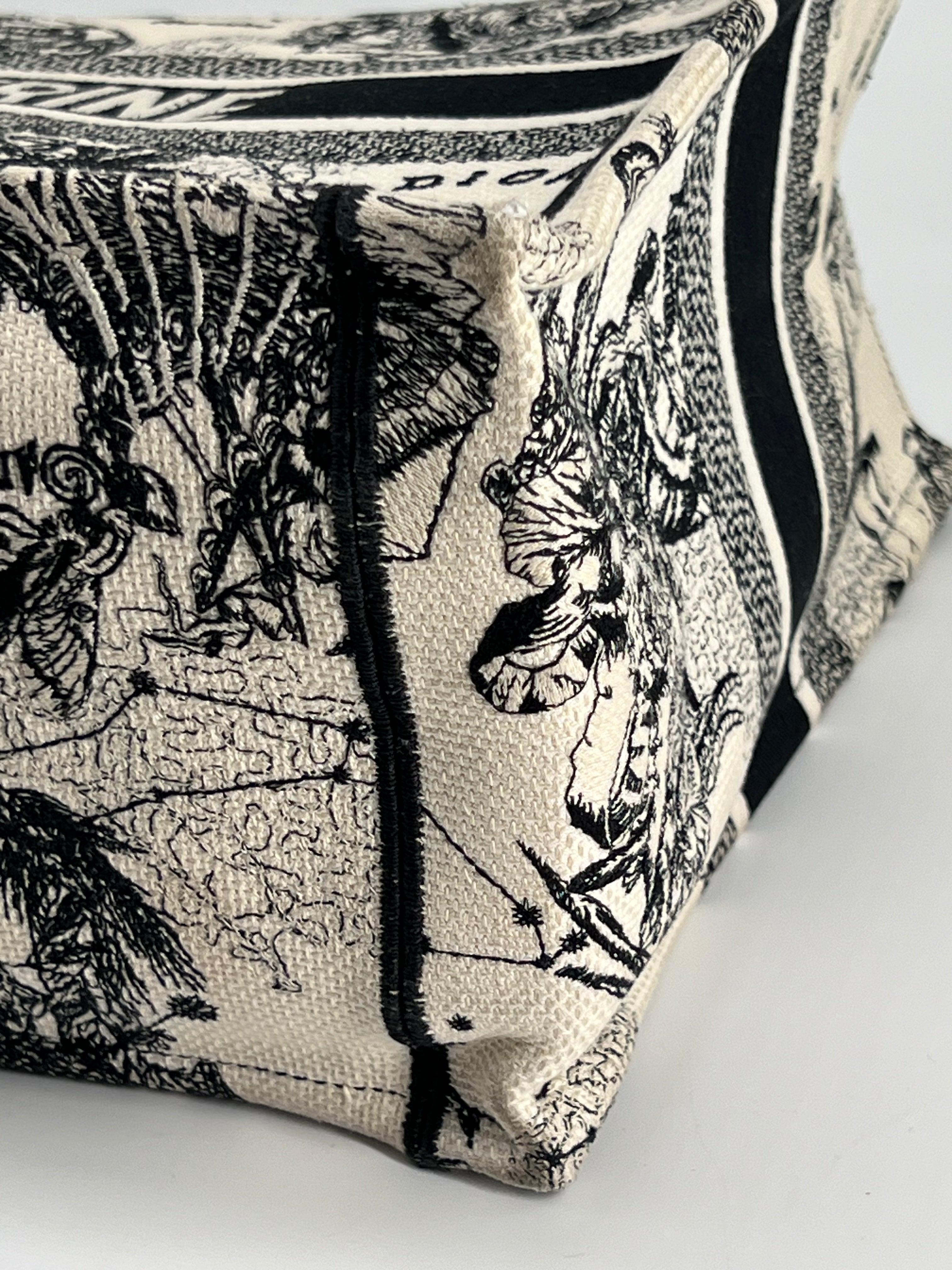Christian Dior Book Tote Medium Embroidered Canvas Bag