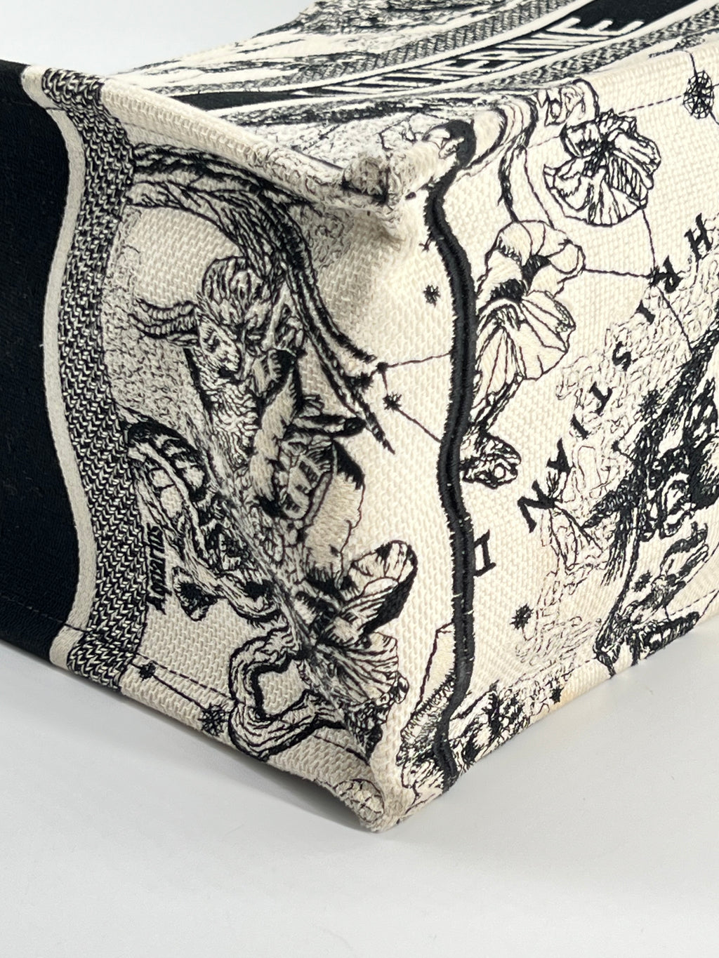 Christian Dior Book Tote Medium Embroidered Canvas Bag