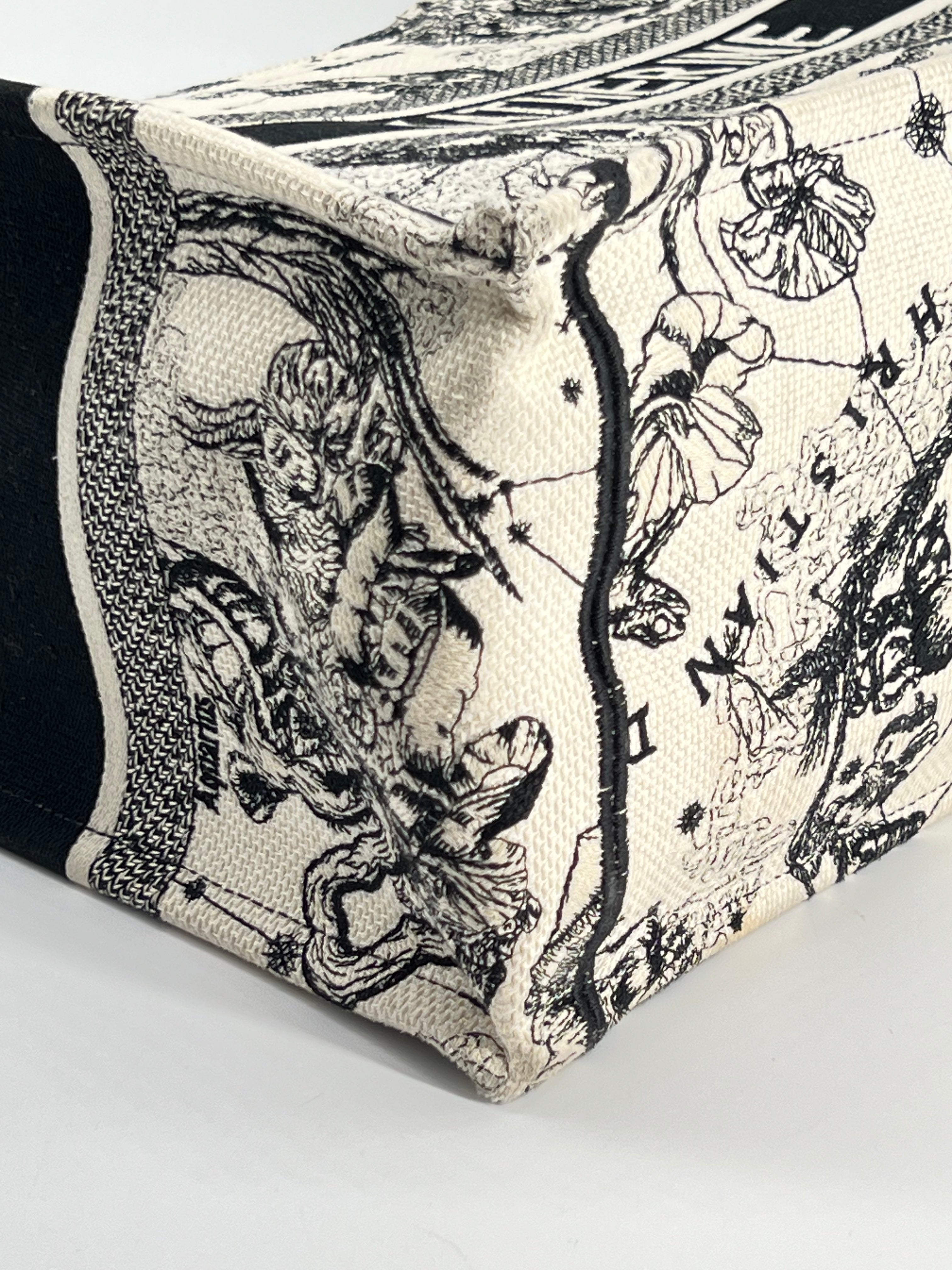 Christian Dior Book Tote Medium Embroidered Canvas Bag