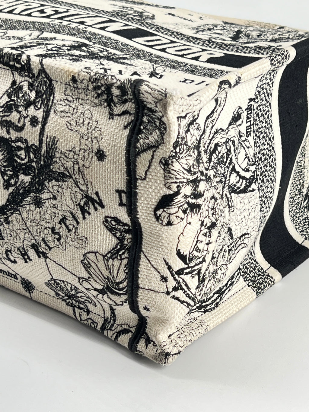Christian Dior Book Tote Medium Embroidered Canvas Bag