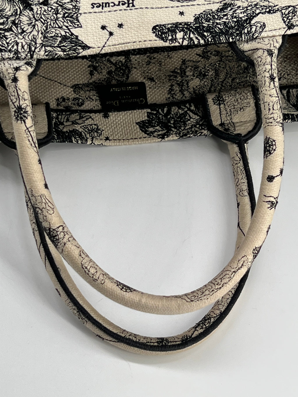 Christian Dior Book Tote Medium Embroidered Canvas Bag