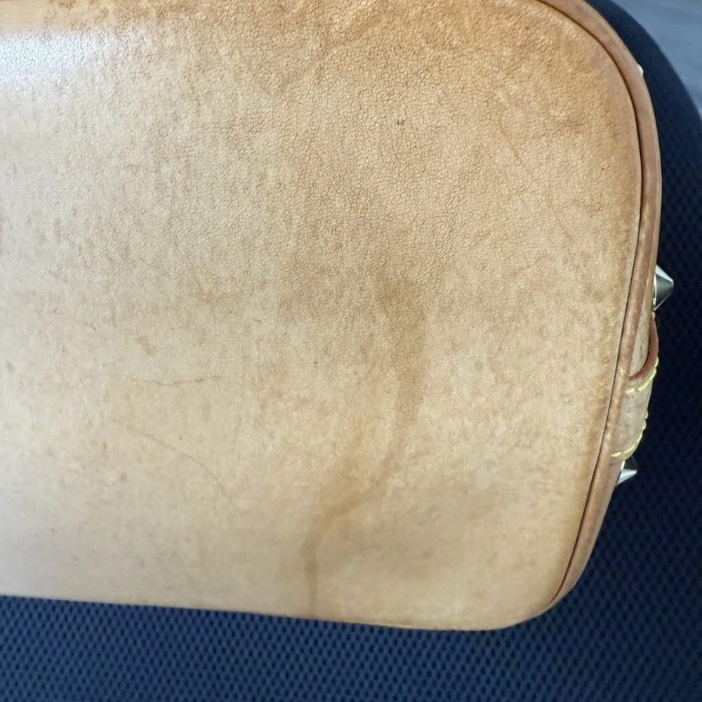 Louis Vuitton Monogram Multicolor Alma Bag