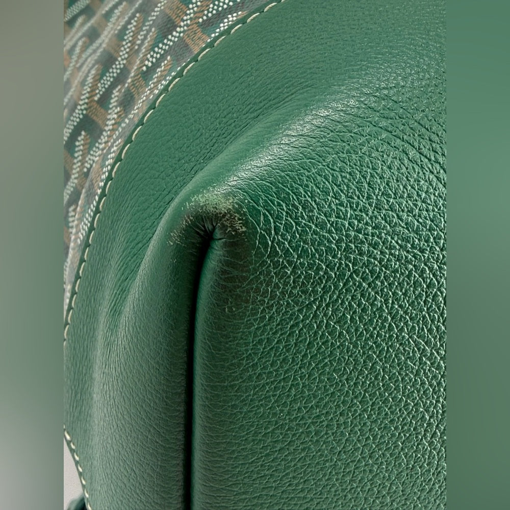 Goyard Cisalpin Green Backpack