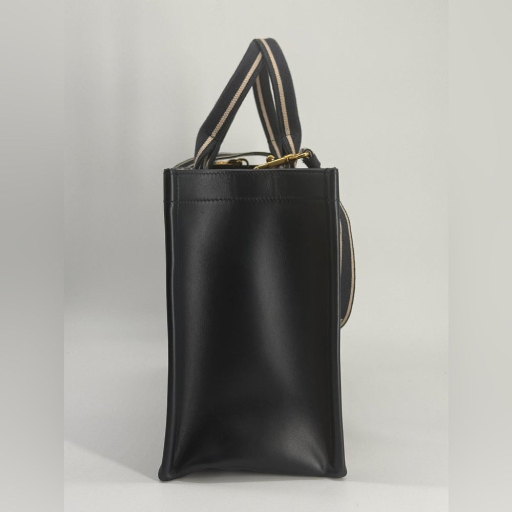 Dior Medium Book Tote Blue Dior Oblique Embroidery and Calfskin Handbag